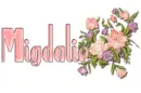 Bunch of Flowers: Migdalia