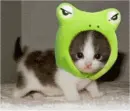 cute