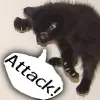 "Attack!"