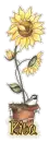 Rita