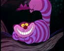 Chesire cat