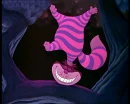 Chesire cat