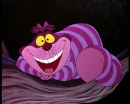 Chesire cat