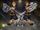 Roxas, The Key of Destiny