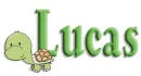 turtle lucas