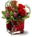 rosas
