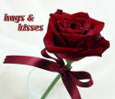 hung & kisses