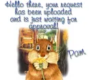 chipmunk with name Pam
