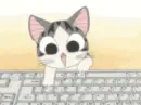 Cutie Cat