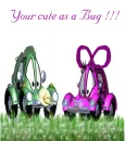 LOVE  BUGS