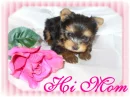Hi Mom!!!!