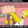 spider pig