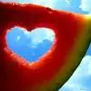 melon heart