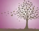 morado