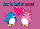 amor pinguino