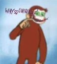 WHY SO CURIOUS