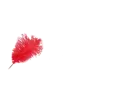 Loida written with red Feather