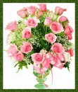 rosas
