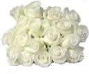 rosas