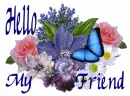 hello my friend