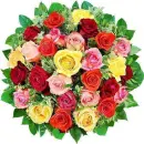 rosas