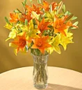 vase