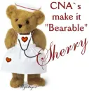 CNA Bear - Sherry