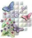 Butterflies - Cookie