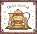 morning