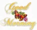 morning