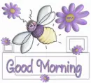 morning