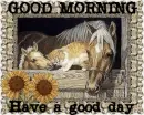 morning