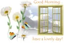 morning