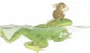 Mouse and frog swim