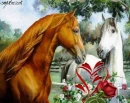 horses in love