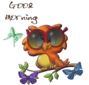 Morning