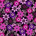 black pink and purple 