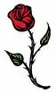 rose from beauty and the beast