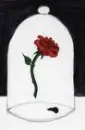 cursed rose