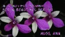 beautiful person ann