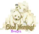 Evelyn