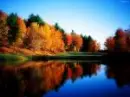 pretty 