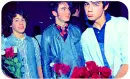 Jonas Brothers