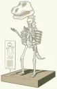 Barney Skeleton