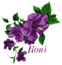 Roni