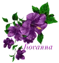 Jiovanna