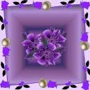 Violets
