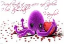 Squid