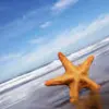 STAR FISH