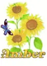 amber sun flower